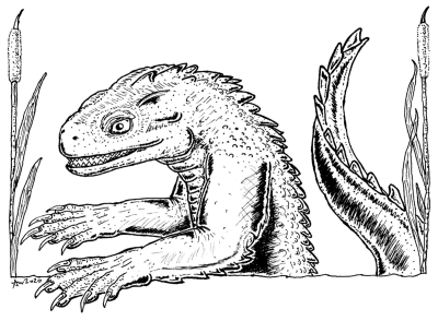 Newtling by Andrew Wright