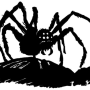 poisonspider.png