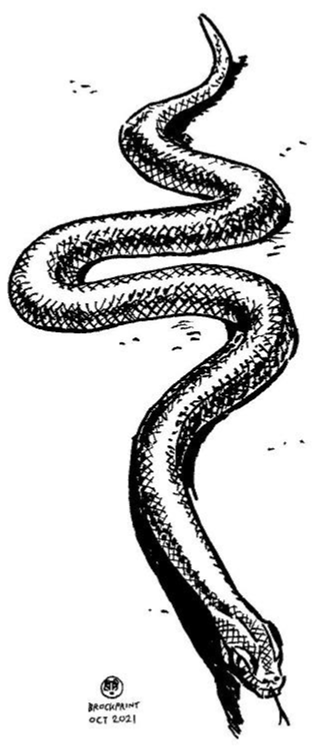 Snake by Brockprint Snake by Brockprint
