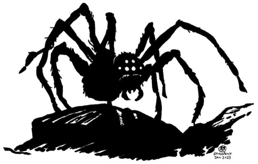 Poisonous Spider by Brockprint Poisonous Spider by Brockprint